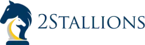 2Stallions Digital Marketing Agency logo