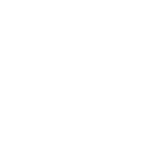 Magnes Marketing logo